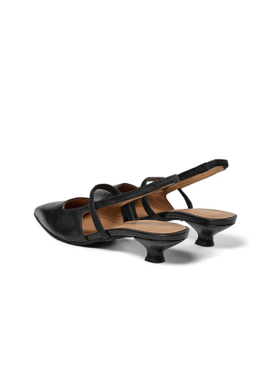 Aurelia , Black