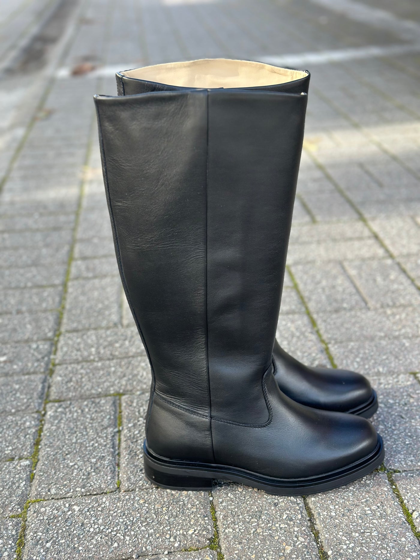 Anna Leather High Shafted Boot, Black