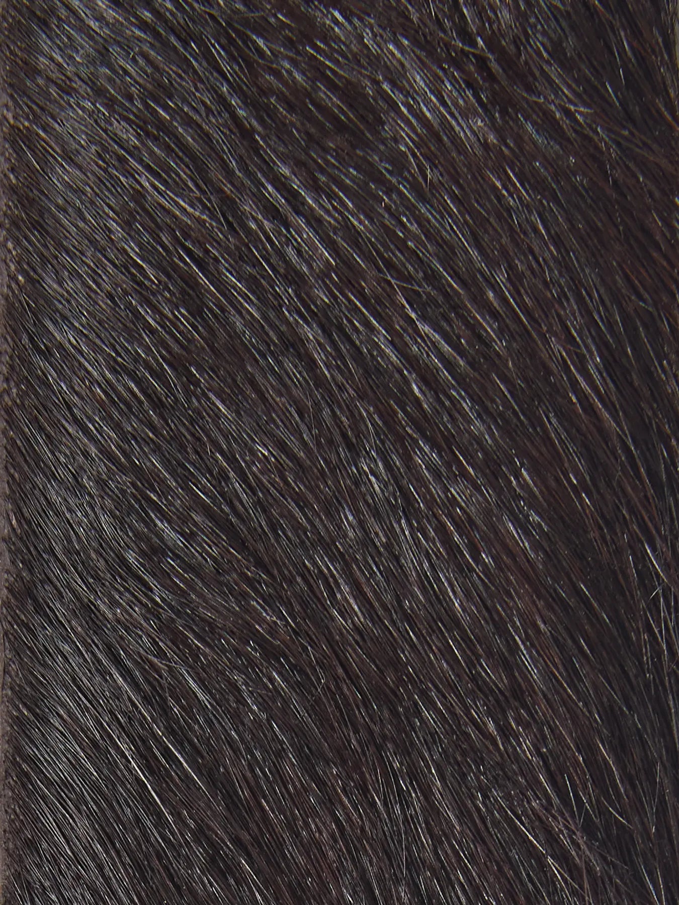 Caroline Slim Cow Belt, Delicioso