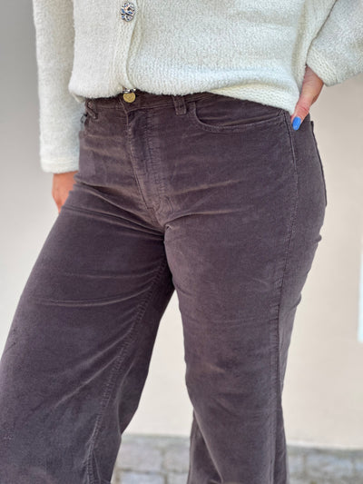 Palazzo Mistral, Chocolate Brown