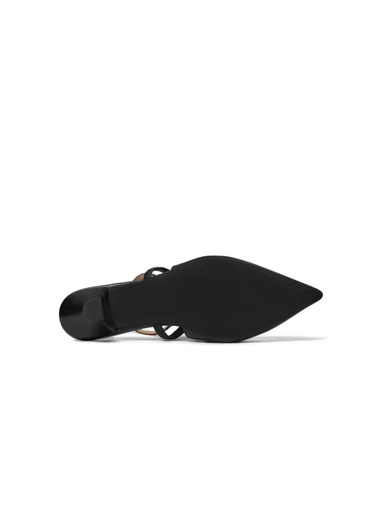 Aurelia , Black