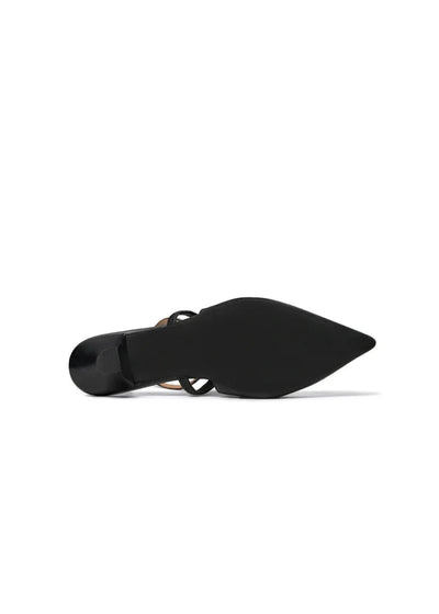 Aurelia , Black