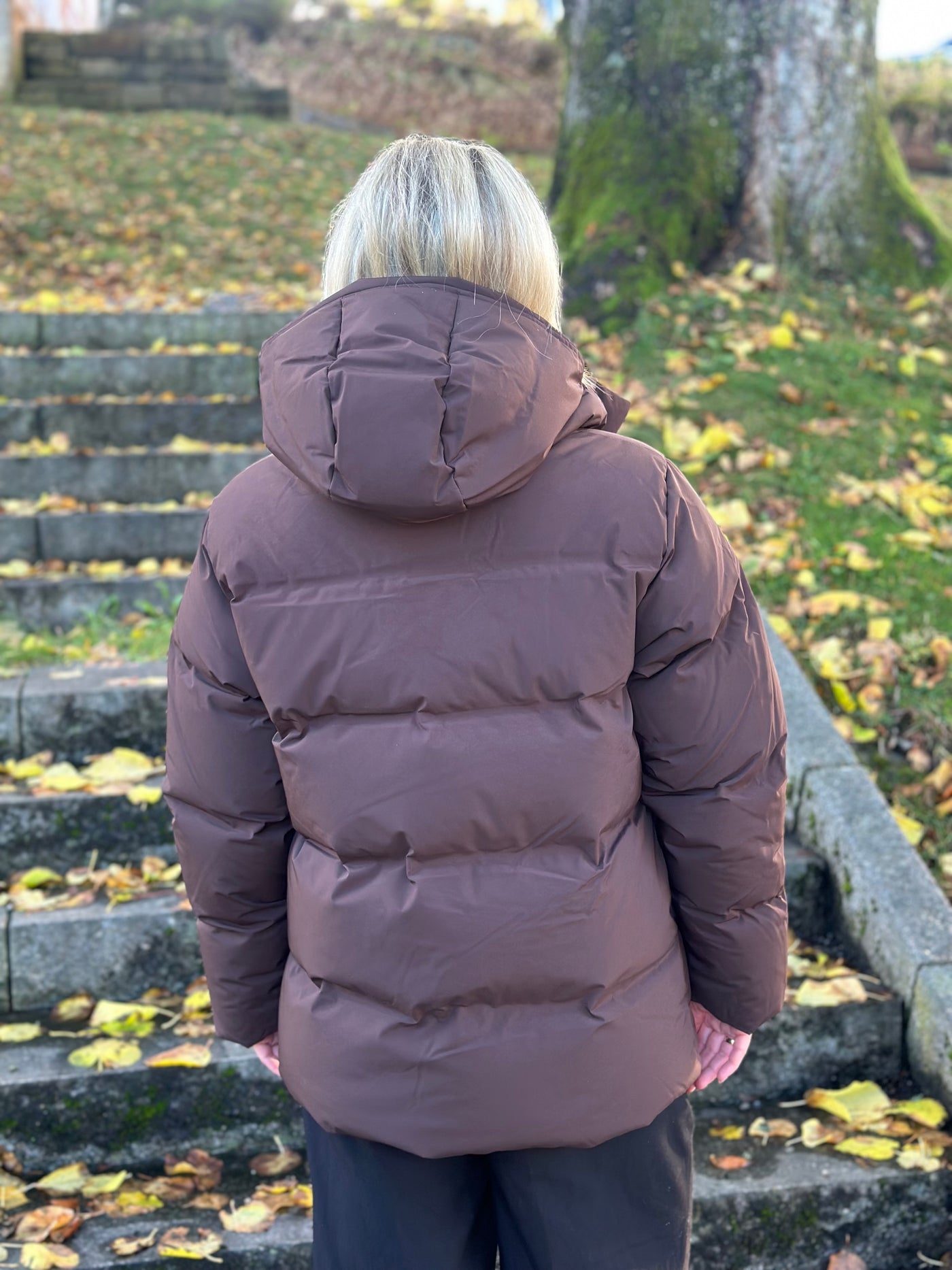 Besseggen Down Jacket , Dark Brown