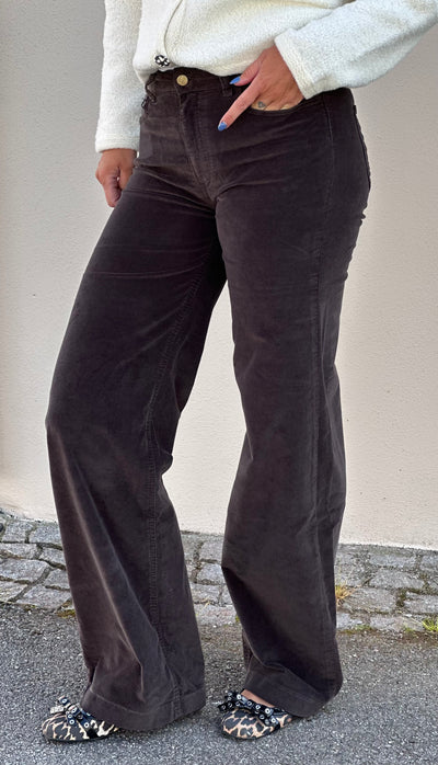Palazzo Mistral, Chocolate Brown